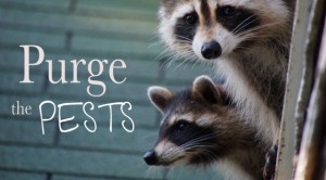 purge-pests